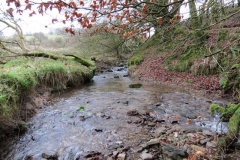 1. Downstream from Liscombe Lower Road (5)