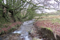 1. Downstream from Liscombe Lower Road (6)