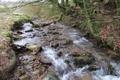 1. Downstream from Liscombe Lower Road (7)