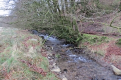 1. Downstream from Liscombe Lower Road (8)