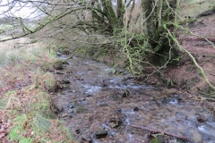 1. Downstream from Liscombe Lower Road (9)