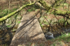 1f. Footbridge