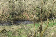 5. Upstream from River Barle Join (2)