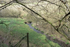 5. Upstream from River Barle Join (3)