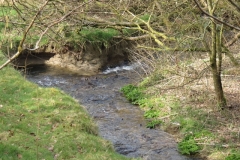 5. Upstream from River Barle Join (4)