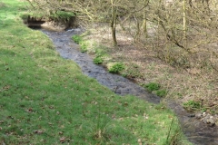 5. Upstream from River Barle Join (5)