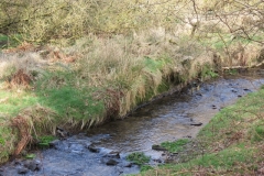 5. Upstream from River Barle Join (6)