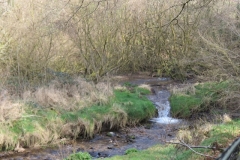 5. Upstream from River Barle Join (7)