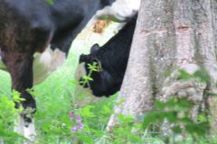 12.-Near-Kents-Mill-5