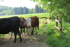 16.-Near-Perry-Bridge-5