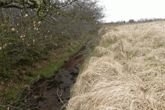 10. Early stream approx 400 metres from source