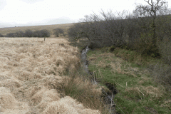 14. Early stream approx 500 metres from source
