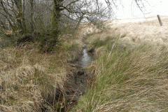 16. Early stream approx 600 metres from source