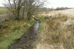 17. Early stream approx 600 metres from source