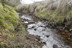 18. Early stream approx 750 metres from source