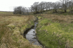 19. Early stream approx 750 metres from source