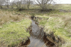 19. Early stream approx 850 metres from source
