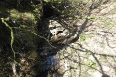 2. The early stream