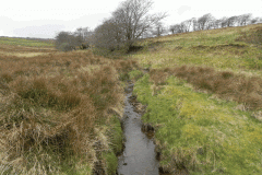 20. Early stream approx 850 metres from source