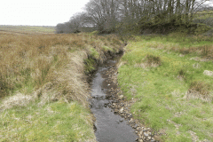21. Early stream approx 900 metres from source