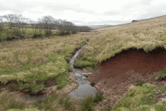 22. Early stream approx 950 metres from source