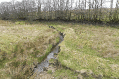 23. Early stream approx 950 metres from source