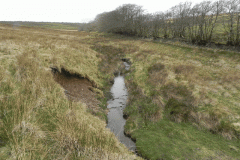 24. Early stream approx 950 metres from source