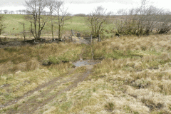 25. Litton Ford