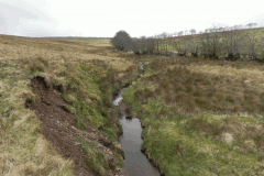25.Looking upstream from  Litton Ford