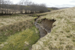 27. Looking downstream from Litton Ford