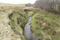 28. Downstream from Litton Ford