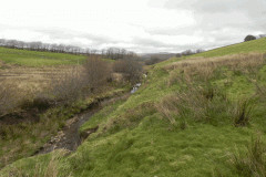 29. Downstream from Litton Ford