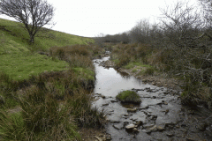 34. Looking upstream from Litton Ford B