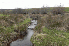 36. Looking upstream from Litton Ford B