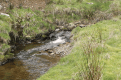 37. Flowing past Twitchen Ridge