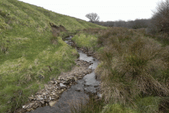 38. Flowing past Twitchen Ridge