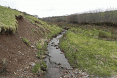 39. Flowing past Twitchen Ridge