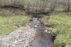 40. Flowing past Twitchen Ridge