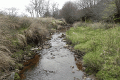 41. Flowing past Twitchen Ridge