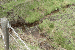 5. Head streams join approx 300 metres from source