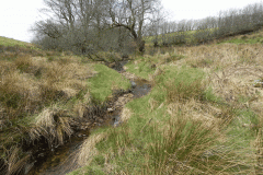52. Flowing below Twitchen Ridge