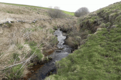 54. Flowing below Twitchen Ridge