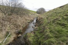 55. Flowing below Twitchen Ridge