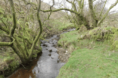 62. Upstream from Willingford Farm