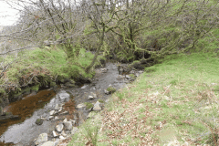 63. Upstream from Willingford Farm