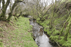 65. Upstream from Willingford Farm