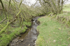 66. Upstream from Willingford Farm