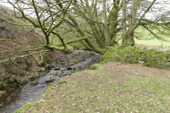68. Upstream from Willingford Farm
