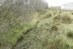7. Early stream approx 350 metres from source