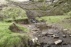 71. Upstream from Willingford Farm